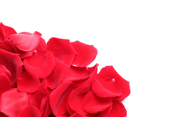 Pile of red rose petals on white background