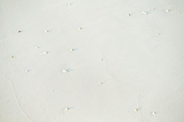 白い砂浜の小石と波跡　背景