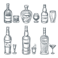 Alcohol drink bottles and glasses. Vector hand drawn sketch isolated illustration. Bar menu design elements