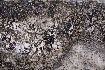 black mold on old stone