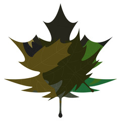 Fototapeta premium Isolated dry leaf