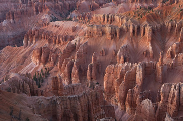 Landscape at sunset of he hoodoos of Cedar Breaks National Monument, Utah, USA
