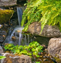 Small scenery waterfall.