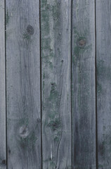Fototapeta premium Old rustic grunge wall texture background with space for text or a photo