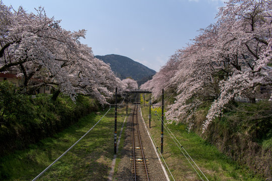 山北駅 Images Browse 53 Stock Photos Vectors And Video Adobe Stock