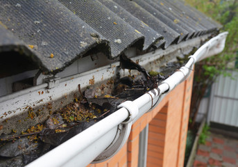 Asbestos house rooftop vinyl rain gutter with fallen leaves and dirt. Gutter cleaning.
