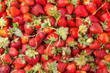 Background of fresh strawberries close-up on raw berries.