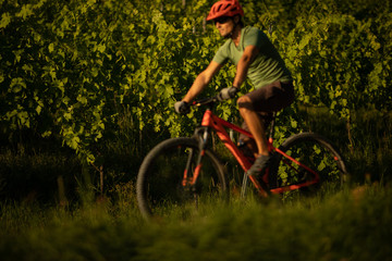 Fototapeta na wymiar Pretty, young woman biking on a mountain bike enjoying healthy active lifestyle outdoors in summer (shallow DOF)