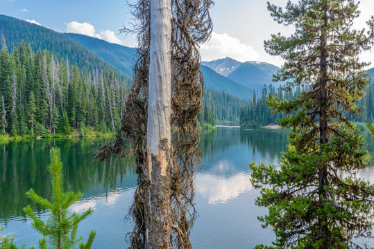 Majestic mountain lake in Canada. Lightning Lake in Manning Park in British Columbia. © karamysh