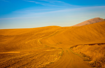 Dirt road in the Palouse