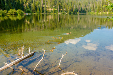 Majestic mountain lake in Canada. Lightning Lake in Manning Park in British Columbia.
