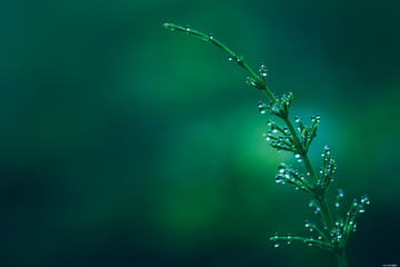 Droplets