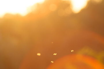 sun in the sky