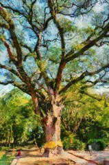 Fototapeta premium Large tree With branches spreading out wide With a beautiful branch shape Illustrations creates an impressionist style of painting.