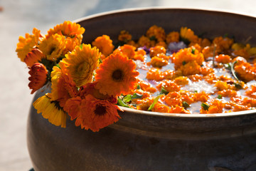Orange flowers in the water in the buddhist temple, Kathmandu, Nepal