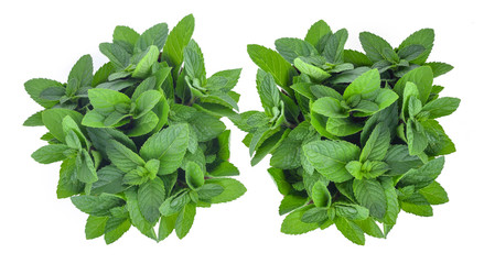 Fresh mint  isolated on a white background © evegenesis