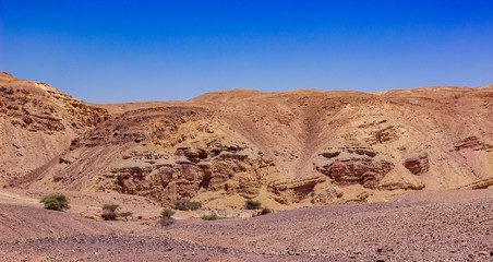 Fototapeta na wymiar panoramic desert landscape wasteland dry scenic environment sand stone ground and mountain rocks background of Negev Israeli nature site