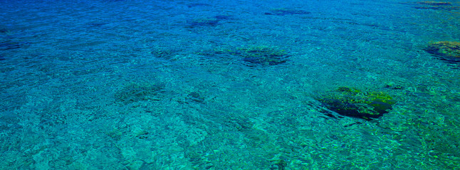 coral beach reefs Red sea bottom transparent water tropic scenic natural view wallpaper background panoramic format photography