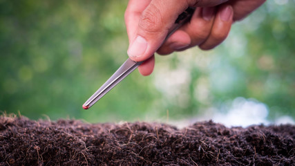 Smart Farmers hand planting seedlings in a germ-free and insect-free laboratory for growing seedlings for agriculture over blurred green nature background. environment concept.Ecology