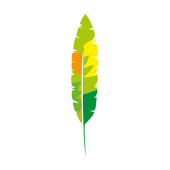 exotic feather bird isolated icon vector illustration design