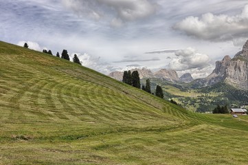 Haymaking in the South Tyrol region, Italy
