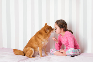 Little girl sitting on the bed in her pink room with her charming Japanese breed dog, shiba inu,...