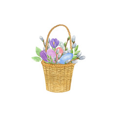 Easter eggs, pussy willow branches, crocus flower in a wicker basket, spring floral composition, watercolor illustration, elements for designing Easter holidays celebration cards, invitations