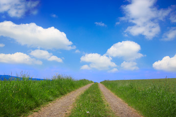 Fototapeta na wymiar Summer field with road and sun in blue sky.