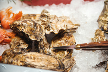 Fresh oysters and oyster knife on ice at showcase. Oyster shells, selective focus. Healthy seafood concept.