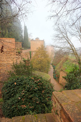 Winter garden and Alhambra towers and wall in the morning haze, Granada, Spain
