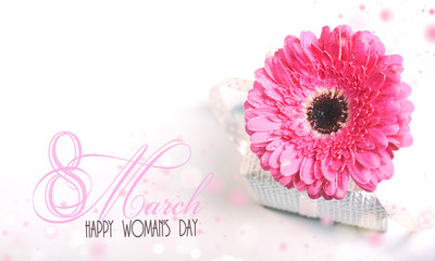 Fresh gerberas (daisy gerber). Spring background