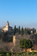 Fototapeta na wymiar Mandarin tree and and Alhambra citadel wall and towers in the winter morning, Granada, Spain