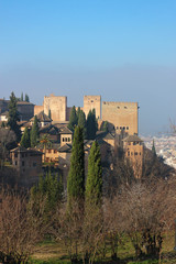 Generalife gardens trees and Alhambra citadel on the background, Granada, Spain