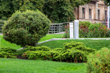 greenery in a city park with a green meadow on the lawn and bushes, nobody.