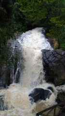 waterfall in forest