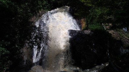 waterfall in the forest