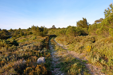 Fototapeta na wymiar hiking trail in La Clape hills. Occitanie region
