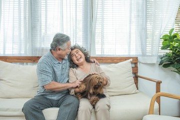 Happy elderly senior asian couple sit on sofa together with pet therapy in nursing daycare,Retired man and woman holding dog while sitting on couch in living room at home.