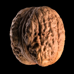 Macro photo of whole walnut isolated on a black background with clipping path