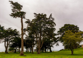 Sutro Heights Park in San Francisco, California, on a rainy day