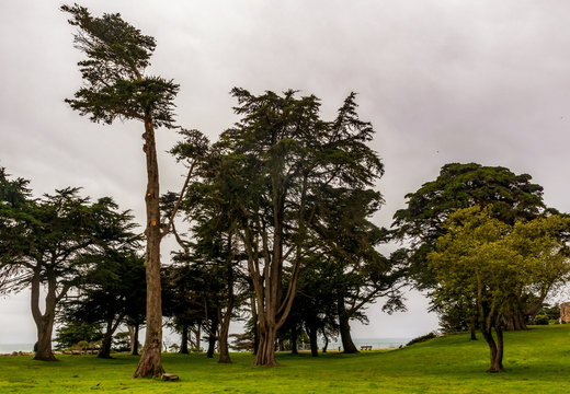Sutro Heights Park in San Francisco, California, on a rainy day