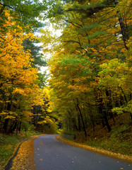 path in maple forest Canada