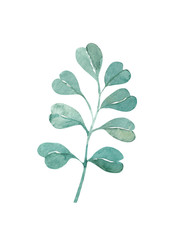 watercolor twig with foliage