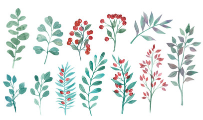 spring watercolor set with green twigs and red berries, summer season, for decoration. scrapbooking