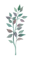 watercolor twig with foliage