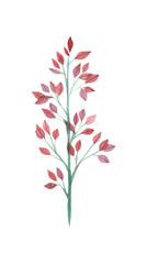 watercolor branch with red leaves, spring greens, for decoration and scrapbooking