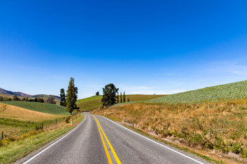 Fototapeta na wymiar country road and sky in Newzealand