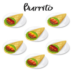 collection of tasty mexican burrito on plate icon on white background. Realistic style. Vector illustration. Isolated on white. Object for packaging, advertisements, menu.