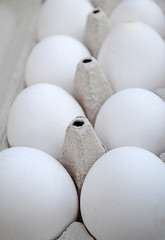 White chicken eggs in a cardboard box with empty space, background