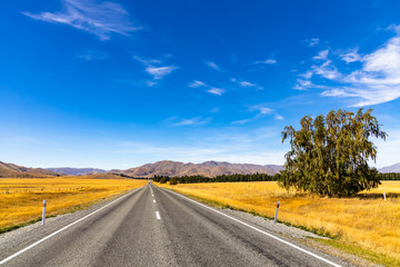 country road and sky in Newzealand